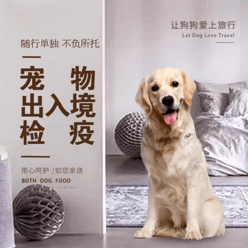 苗栗县宠物托运到哥伦比亚猫狗宠物入境规定和