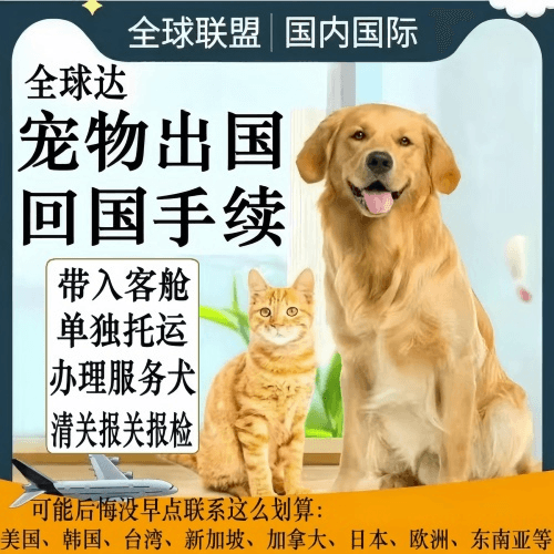 苗栗县宠物托运到柬埔寨宠物入境规定和要求