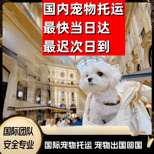 苗栗县到澳大利亚（澳洲）宠物入境规定和要求