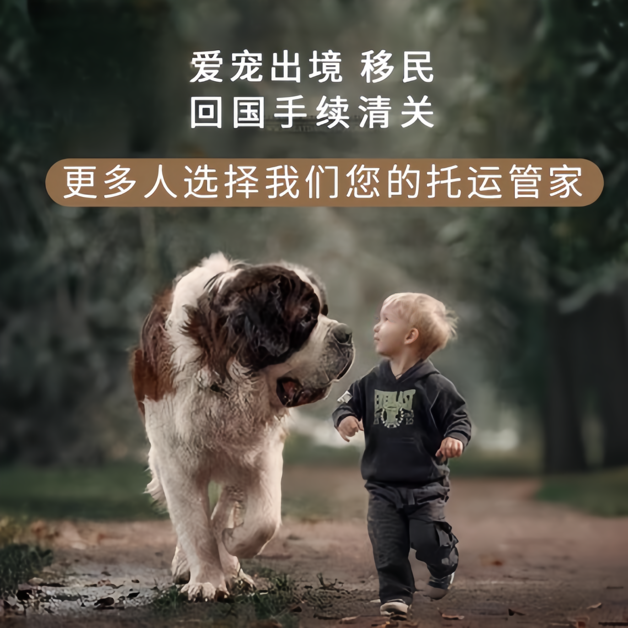 满财苗栗县宠物全球达宠物托运在遵守入境目的地政策的条件