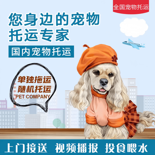 满财苗栗县宠物全球达宠物托运作为专业的宠物运输代理机构